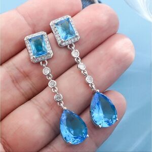 Elegant Blue and Silver Drop Earrings